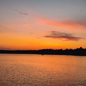 Meet your Posher, Camryn